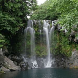Una vasta cascata si riversa su una parete rocciosa coperta di muschio in una pozza scura, circondata da una fitta vegetazione verde della foresta.