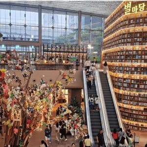 Una vasta biblioteca a più livelli, con un'imponente parete curva di libri illuminati, una scala mobile e molte persone che consultano.