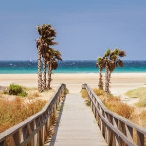 Ein Holzsteg führt durch Sanddünen mit Palmen zu einem Strand mit blauem Meerwasser unter klarem Himmel.