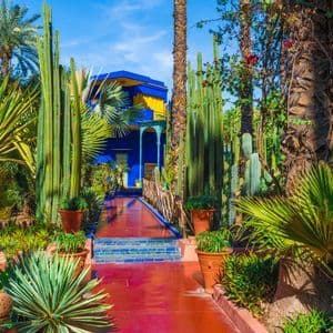 Un sentiero rosso conduce a un vivace edificio blu e giallo, circondato da un rigoglioso giardino di alti cactus e palme sotto un cielo soleggiato.
