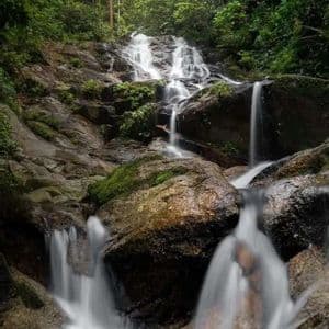 Una toma de larga exposición de una cascada cayendo sobre rocas cubiertas de musgo en un denso bosque verde.