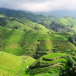 Rigogliose risaie a terrazze verdeggianti si estendono su dolci colline sotto un cielo nuvoloso, con montagne in lontananza.
