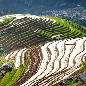 Verdi e lussureggianti risaie a terrazze, colme d'acqua, scendono a cascata lungo un fianco della montagna, con un piccolo villaggio annidato sullo sfondo.