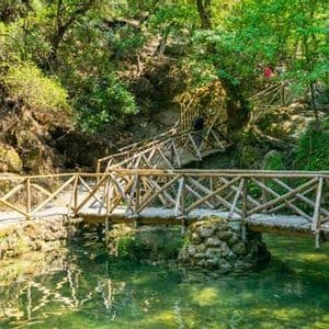 Un ponte e una passerella in legno si snodano attraverso una foresta verde, attraversando un ruscello limpido accanto a una piccola cascata.