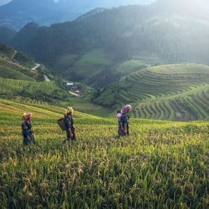 Quattro donne in abiti tradizionali camminano attraverso una risaia a terrazze, con montagne verdi e lussureggianti sullo sfondo.