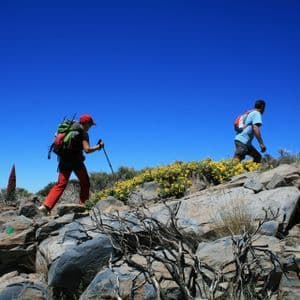 Un viaggio di gruppo WeRoad con zaini, in escursione su un sentiero di montagna roccioso con fiori gialli, sotto un cielo azzurro e limpido.