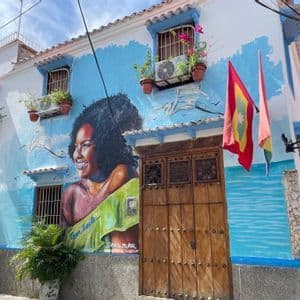 Une grande fresque murale d'une femme souriante peinte sur le côté d'un bâtiment blanc et bleu avec une porte en bois et des plantes en pot.