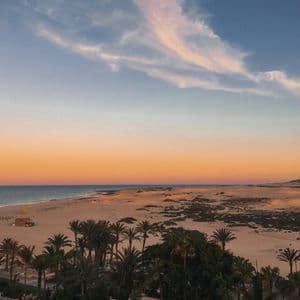 Vue panoramique d'une plage de sable et de dunes bordant l'océan, avec des palmiers au premier plan au coucher du soleil.