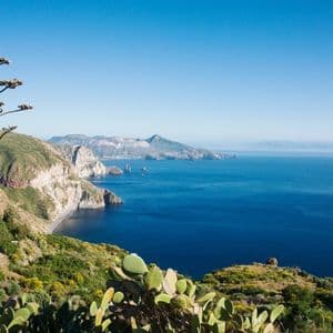 Una pianta di agave e fichi d'India su una verde collina che domina una costa ripida e rocciosa e un mare blu intenso.