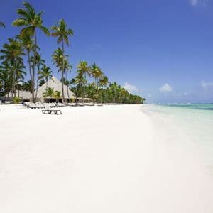 A wide, white sand beach lined with palm trees and lounge chairs next to clear turquoise ocean water.