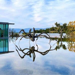 Una grande scultura a forma di ragno si erge in una pozza d'acqua poco profonda, riflettendo se stessa e un moderno edificio di vetro.