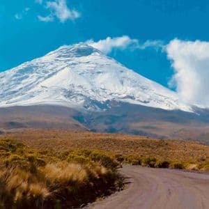 Un camino de tierra sinuoso atraviesa un paisaje seco y herboso hacia una gran montaña nevada bajo un cielo azul con nubes.