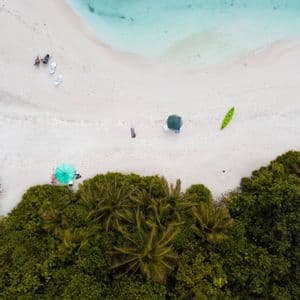 Vista aérea cenital de una playa de arena blanca donde un exuberante bosque verde se encuentra con el océano turquesa cristalino, con gente relajándose en la orilla.
