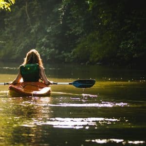 Una persona vista de espaldas, remando en kayak en un río tranquilo rodeado de un bosque exuberante y soleado.