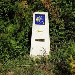 Un hito de piedra para el Camino de Santiago, marcado con una flecha amarilla y el símbolo de la concha, rodeado de vegetación verde.