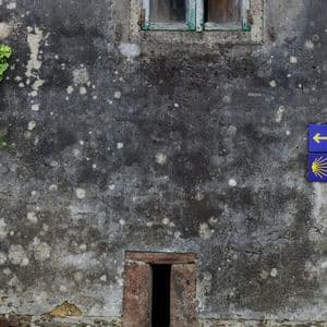 Una señal azul del Camino de Santiago con una concha de vieira amarilla y una flecha en un muro de piedra desgastado y cubierto de hiedra.