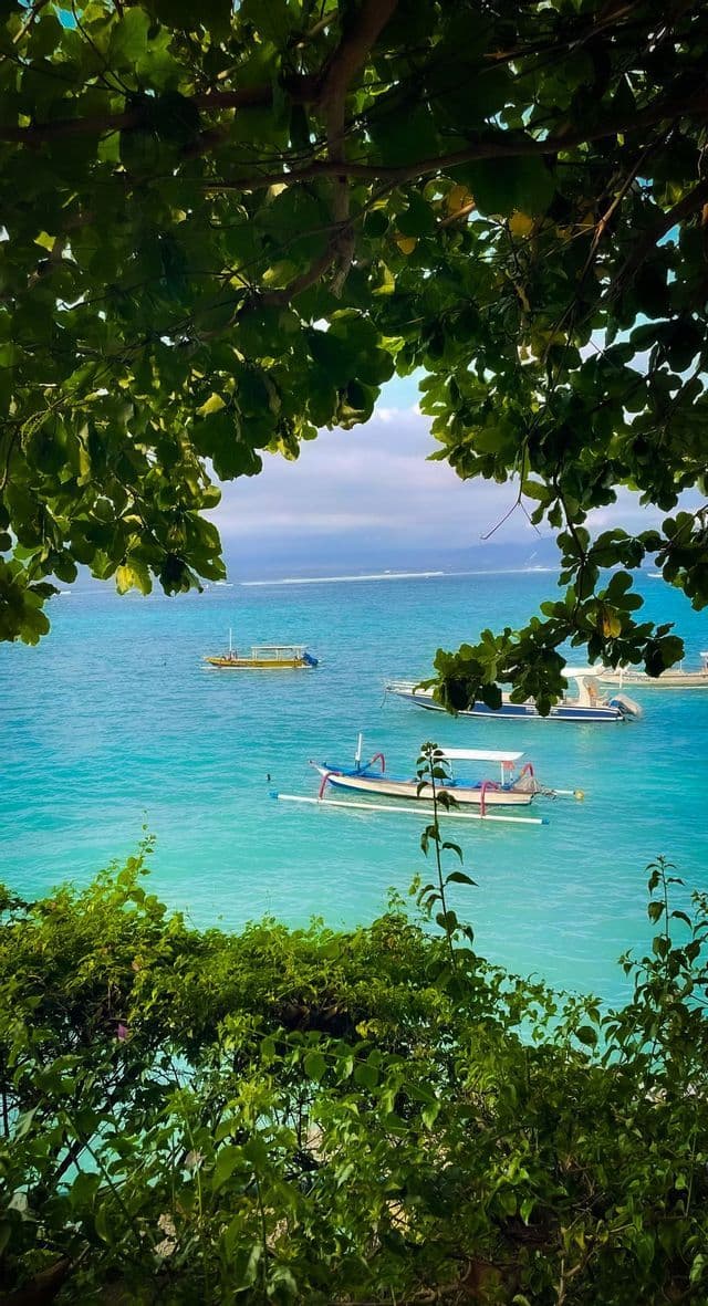 Diverse barche tradizionali galleggiano su acque calme e turchesi, viste attraverso un'apertura tra le lussureggianti foglie verdi degli alberi.