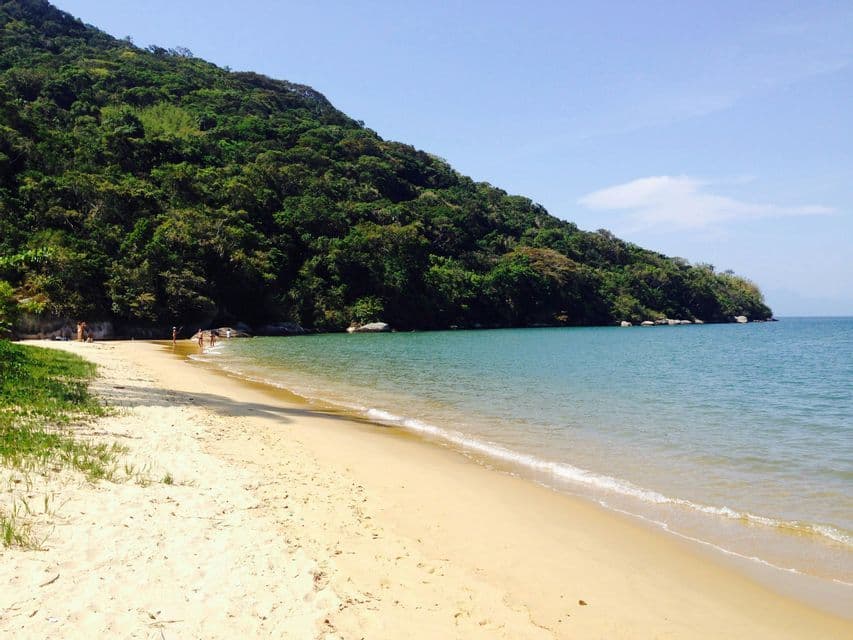 Una spiaggia di sabbia con onde dolci incontra una collina lussureggiante, verde e boscosa sotto un cielo azzurro e limpido.