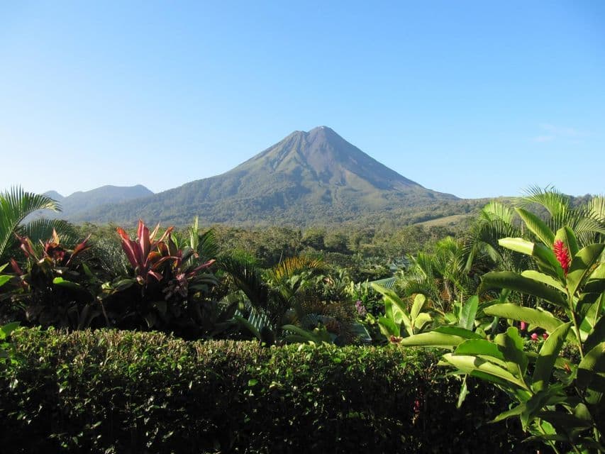 Un grande vulcano con pendii verdi e boscosi visto da dietro un rigoglioso giardino tropicale sotto un cielo azzurro chiaro.