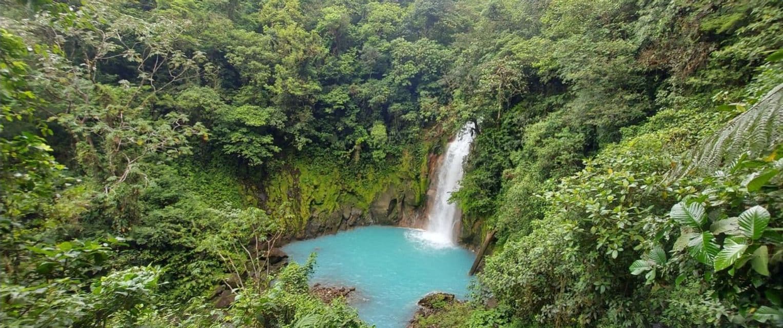 Ein Wasserfall stürzt in ein leuchtend blaues Becken, umgeben von der üppig grünen Vegetation eines dichten Dschungels.