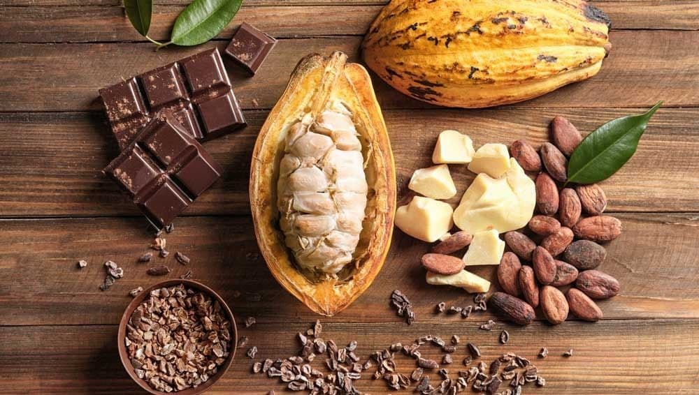 Una disposición de vainas de cacao, granos, manteca de cacao y una tableta de chocolate negro sobre una mesa de madera.