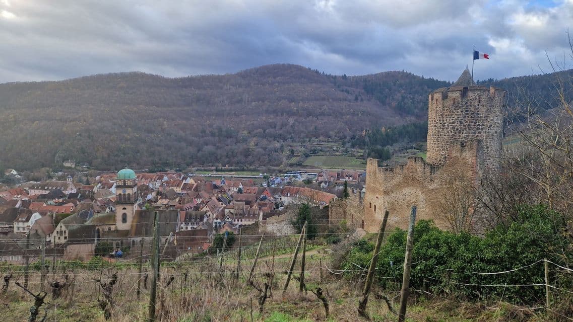 Un castillo de piedra con una bandera francesa en su torre domina un pueblo y viñedos al pie de una colina boscosa.