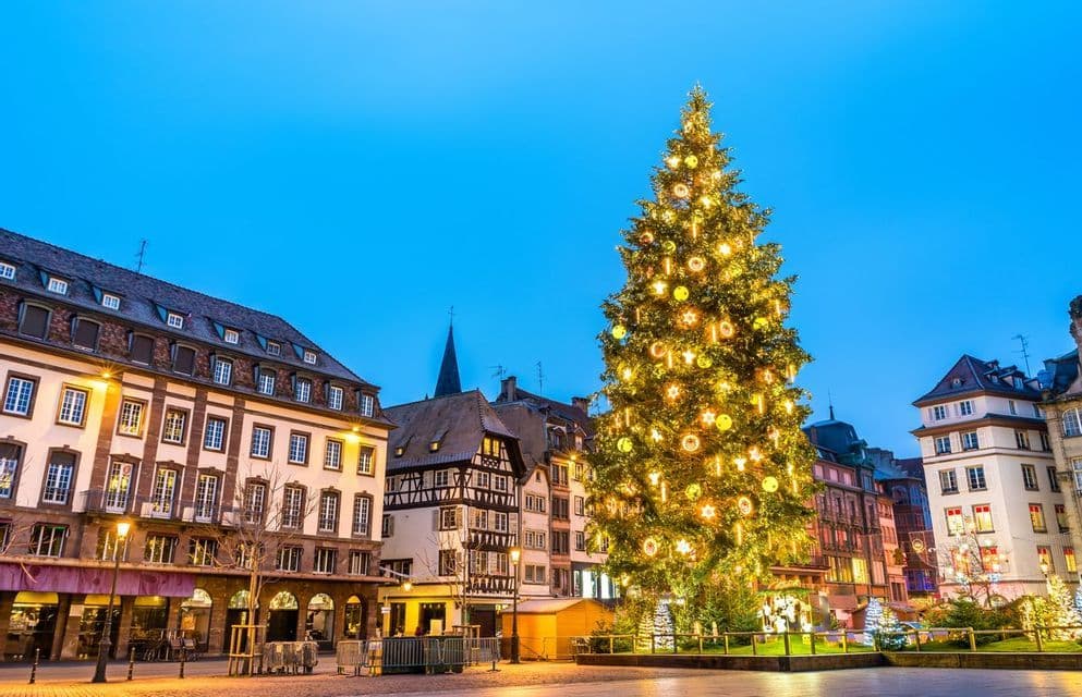 Un árbol de Navidad iluminado se alza en el centro de una plaza histórica europea al anochecer, con edificios tradicionales de fondo.