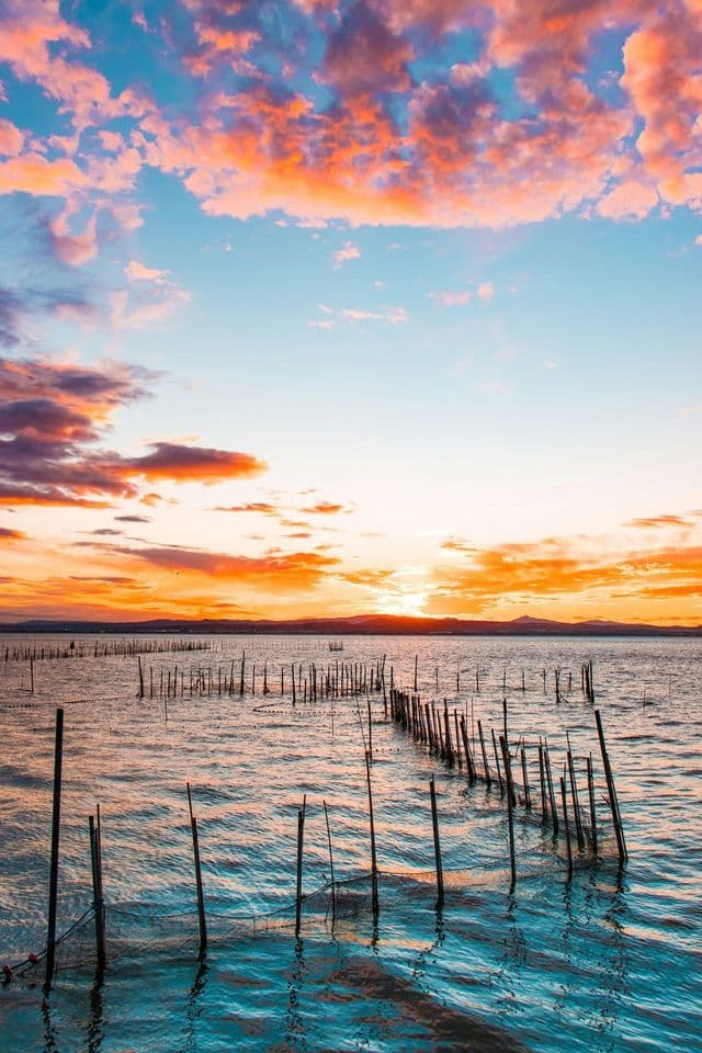 Pali di legno per reti da pesca si ergono nell'acqua sotto un vibrante cielo al tramonto con nuvole rosa e arancioni.