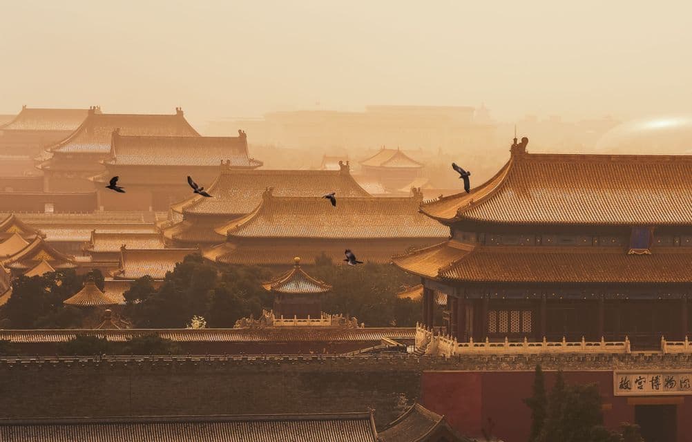 Aves vuelan sobre los extensos tejados de tejas doradas de un complejo palaciego tradicional bajo un cielo brumoso y ámbar.