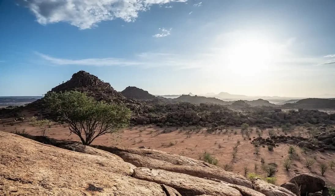 Un albero verde solitario su un fianco roccioso domina una vasta valle arida con montagne sotto un sole splendente e un cielo blu.