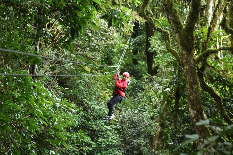 Una mujer con chaqueta roja y casco sonríe haciendo tirolesa por un frondoso dosel de bosque verde.