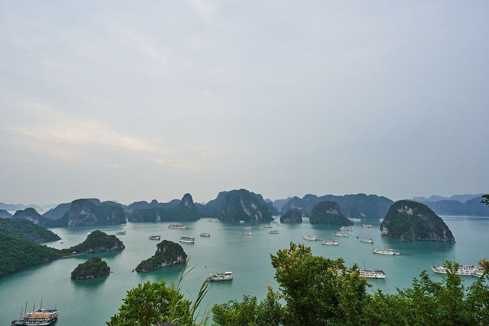 Una vista elevada de una bahía llena de barcos turísticos dispersos entre numerosas islas de piedra caliza cubiertas de selva bajo un cielo nublado.