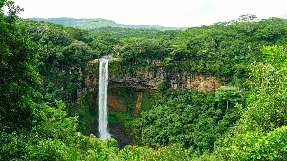 Un'alta cascata scende da una scogliera rocciosa in una gola completamente ricoperta da una fitta foresta verde.