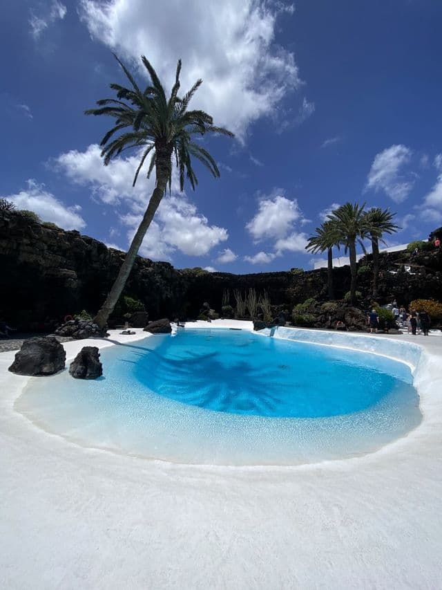 Una piscina blu brillante con bordo bianco riflette l'ombra di una palma, su uno sfondo di scure rocce vulcaniche sotto un cielo nuvoloso.