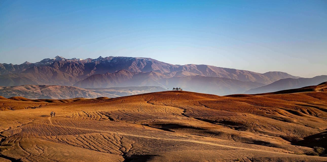 Un viaje en grupo de WeRoad en camellos se alza sobre una colina de desierto rojo con montañas nevadas al fondo.
