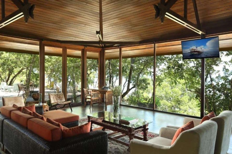 Salon moderne avec plafond en bois et murs vitrés, donnant sur une forêt dense, équipé de canapés et d'une télévision.