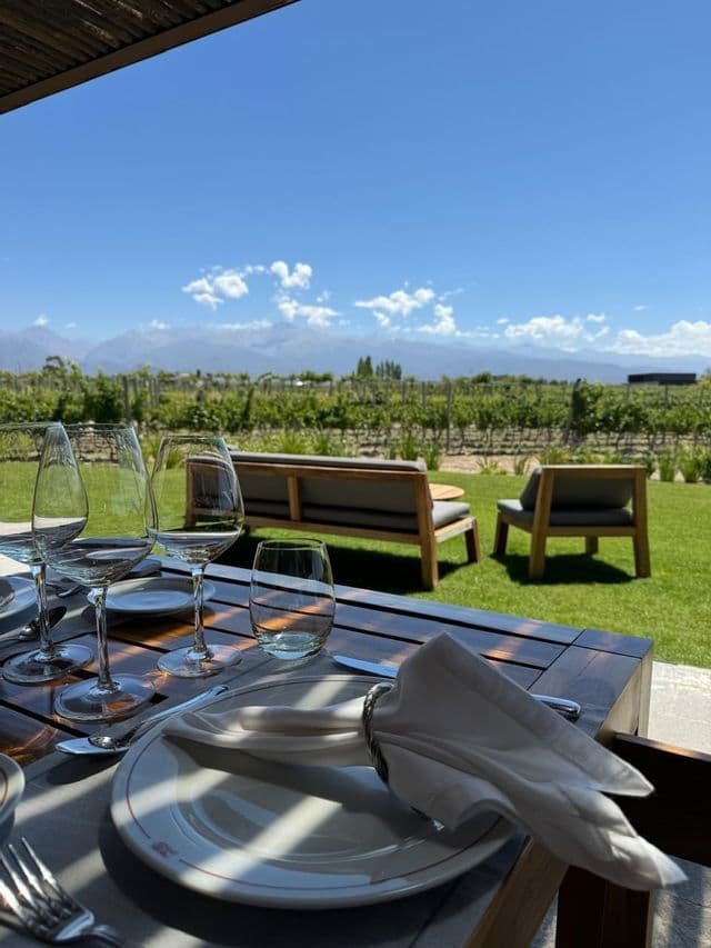 Una mesa puesta con platos y copas de vino, con vistas a un viñedo soleado y montañas en la distancia.