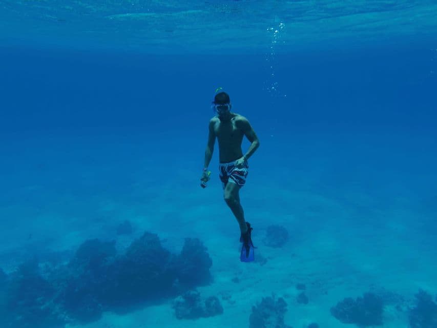 Ein Mann mit Taucherbrille und Flossen taucht in klarem blauem Wasser über einem sandigen Meeresboden mit Felsen.