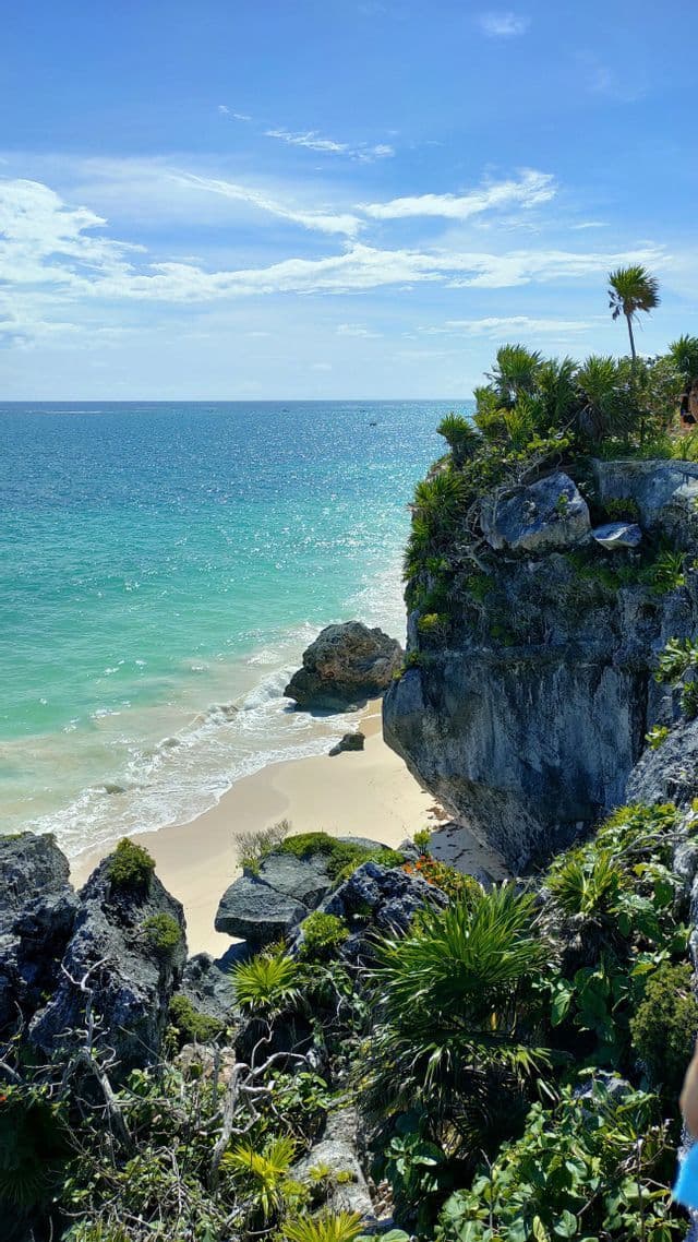 Una vista da una scogliera rocciosa e ricoperta di piante che si affaccia su una spiaggia sabbiosa e un oceano turchese sotto un cielo blu.