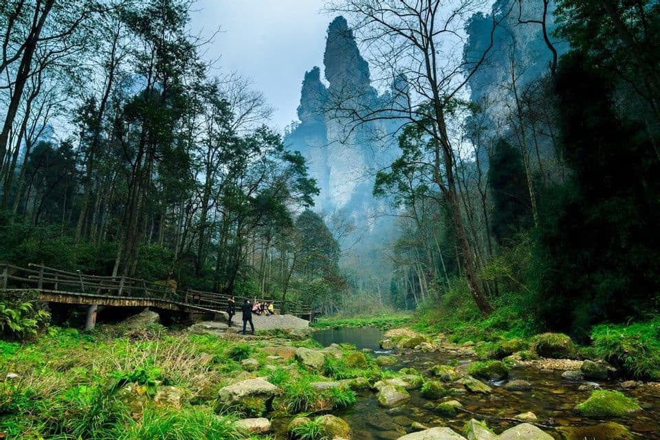 Un viaggio di gruppo WeRoad si riposa accanto a un ruscello in una foresta lussureggiante, con imponenti formazioni rocciose che si ergono nello sfondo nebbioso.