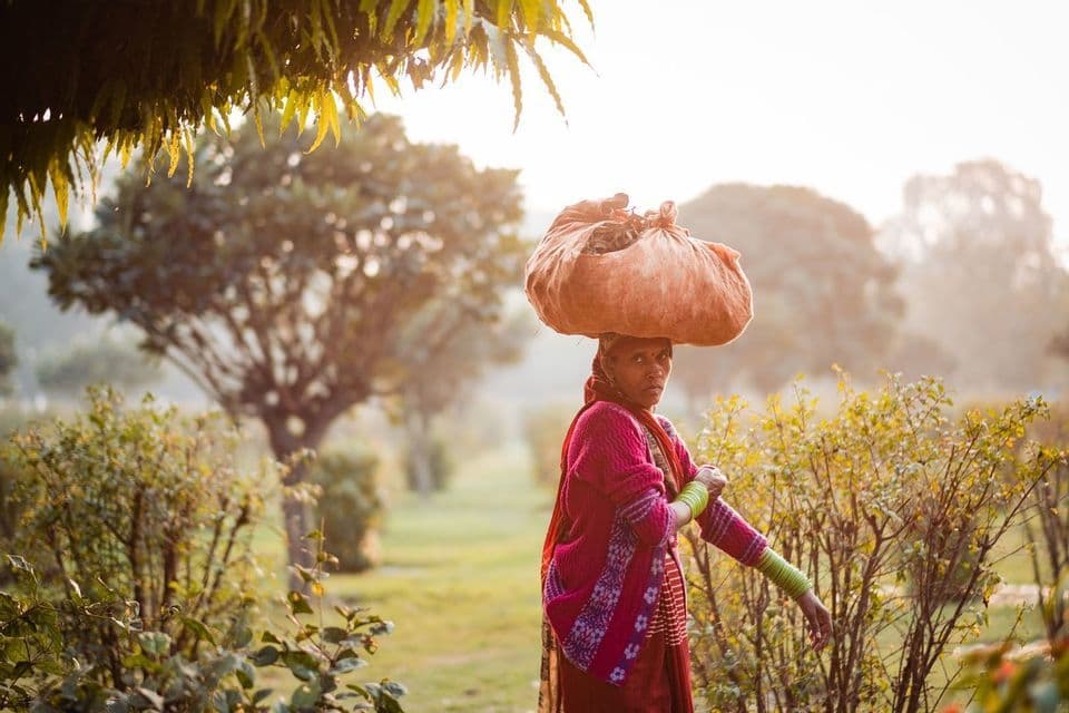 Una donna con un maglione rosa porta un grande sacco sulla testa mentre cammina lungo un sentiero in un giardino soleggiato.
