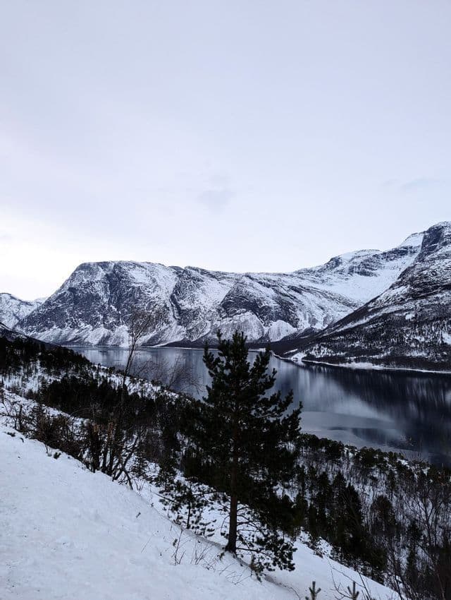 Un lago calmo riflette montagne innevate, con un pendio innevato e pini in primo piano sotto un cielo pallido.