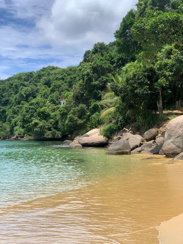 Ein Sandstrand mit klarem, türkisfarbenem Wasser, umgeben von großen Felsen und einem dichten grünen Wald an einem Hang unter blauem Himmel.