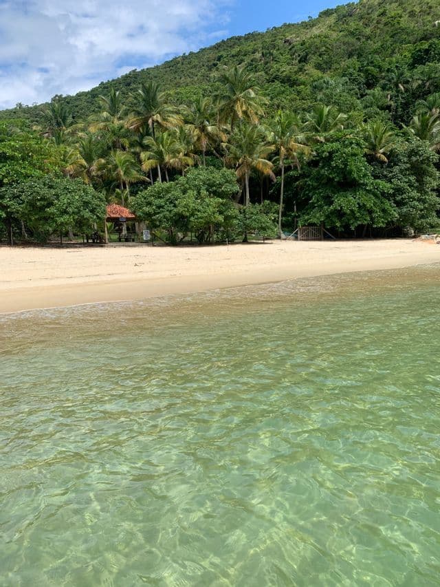 Una vista sull'acqua limpida e bassa verso una spiaggia sabbiosa con una fitta foresta tropicale e una rigogliosa collina verde sotto un cielo azzurro.