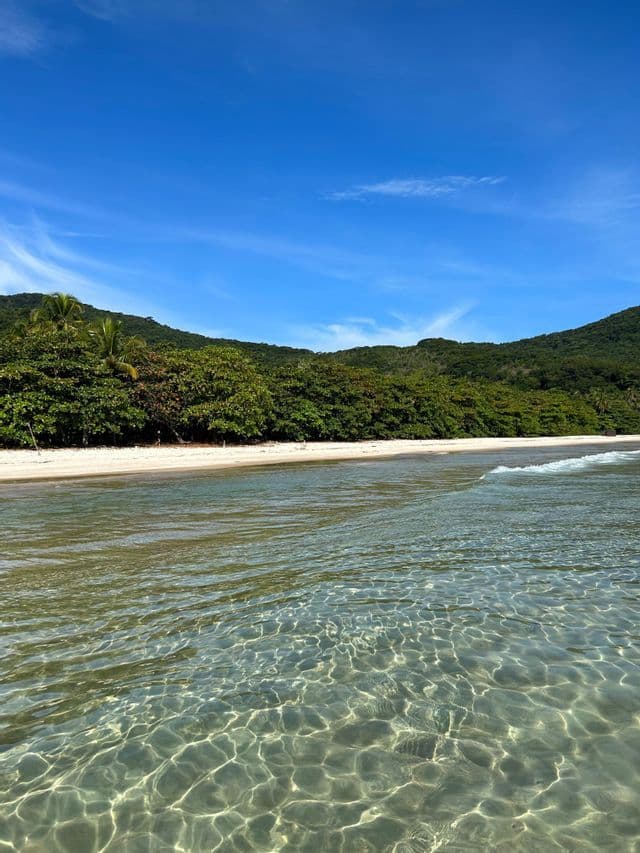 Klares Meerwasser umspült einen weißen Sandstrand, gesäumt von dichtem grünem Wald unter strahlend blauem Himmel.