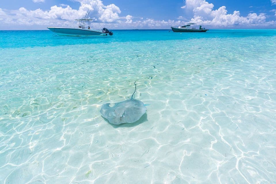 A stingray swims in clear, shallow turquoise water with two boats anchored in the distance under a partly cloudy sky.