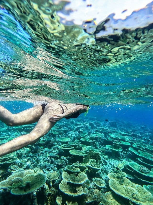 An underwater view of a person snorkeling over a large coral reef in clear turquoise water.