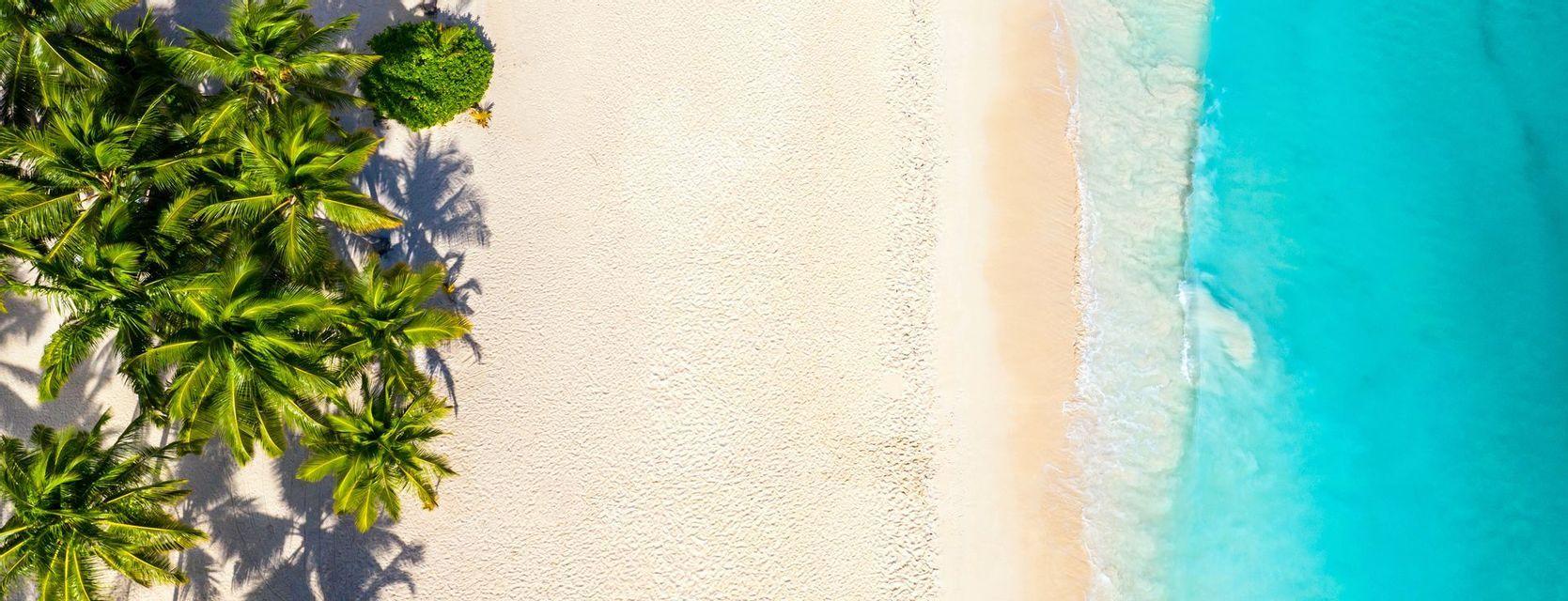 An aerial, top-down view of a tropical beach with green palm trees, white sand, and clear turquoise water.