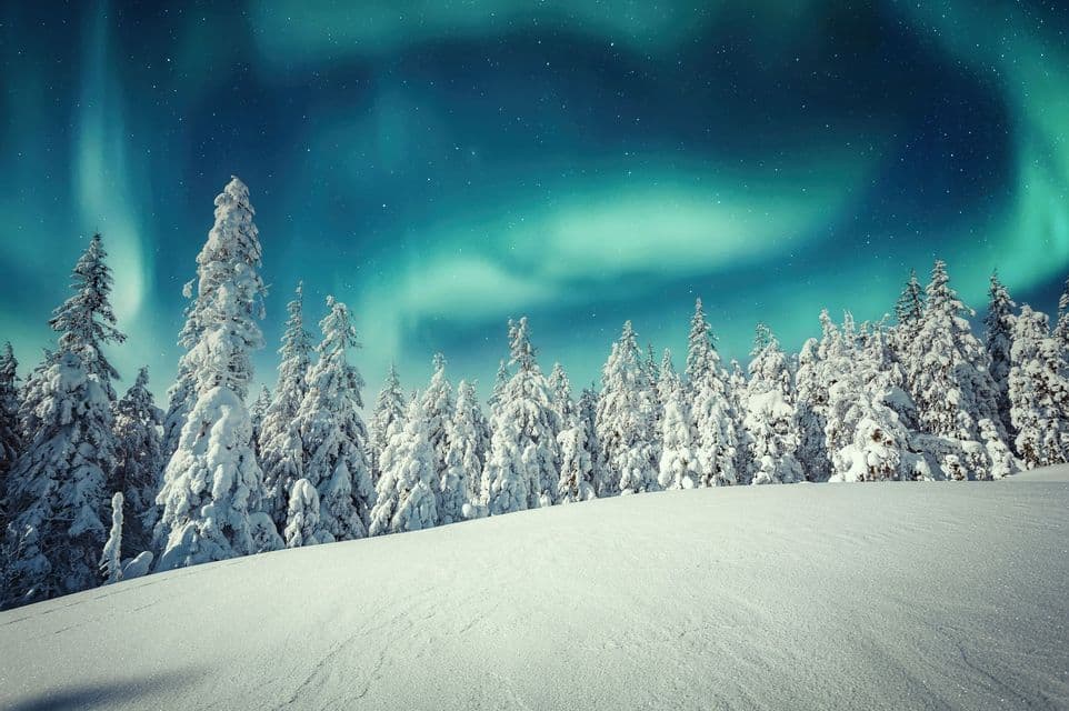 L'aurora boreale risplende in un cielo stellato sopra una foresta di pini coperti di neve.