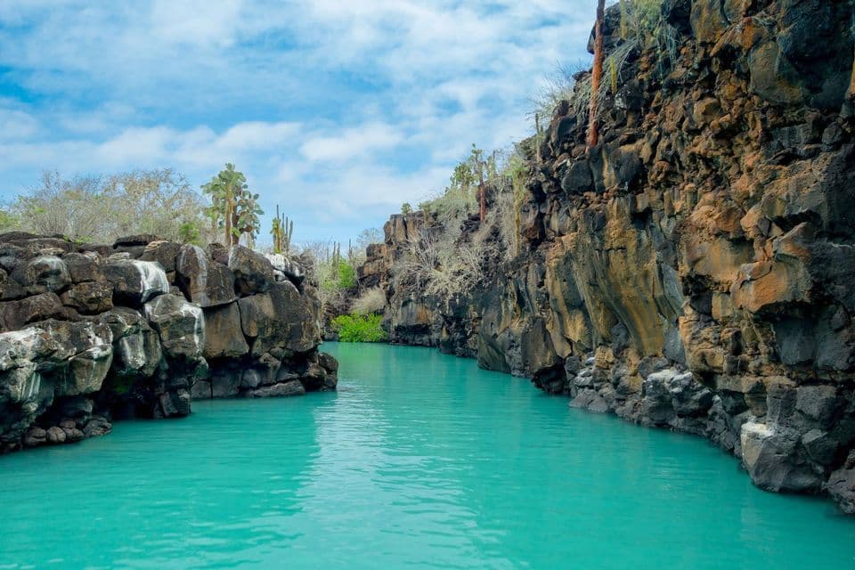 A narrow channel of bright turquoise water flows between steep, dark rock cliffs topped with cacti and sparse vegetation under a blue sky.